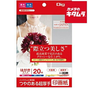 iJoV JPSK2-PC-20  fWJ掆 CNWFbgΉ nKL 20