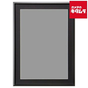 ハクバ FAG2-BKA3N アルミ額 AG-02 ブラック A3ノビ