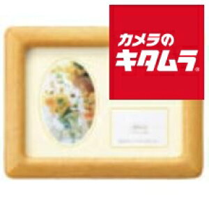 ���h���i WT22-C �ؐ��t���[��(���o�[�E�b�h) 2L �s�[����1�|2�T�ԁt