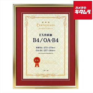  106-635 EX܏z B4p S[h×ԃ}bg EXSJ-B4-GD