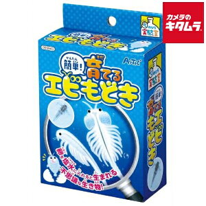 A[ebN ȒPIĂGrǂ v[g Mtg NX}X a o[Xf[ p[eB[ Cxg ii w  j  ߋ  gC 蕨