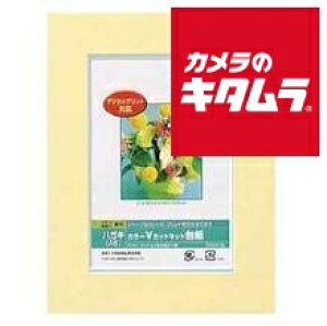 iJoV Digio J[VJbg}bg_CV nKLTCYiA6jCG[ DGVM-A6-Y