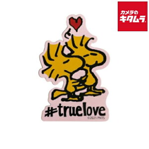 X[vlbg SN1008 LN^[XebJ[ PEANUTS EbhXgbN s[t