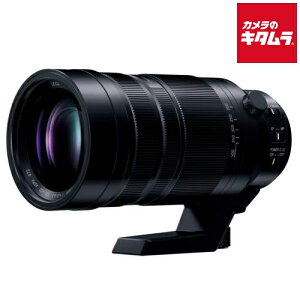 pi\jbN LEICA DG VARIO-ELMAR 100-400mm F4.0-6.3 II ASPH. POWER O.I.S. [H-RSA100400] ~[X AF Y JY s[2|3Tԁt