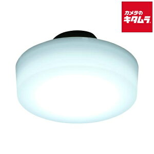 ACXI[} LED^V[O 1600lm F SCL16D-MCHL s[2Tԁt