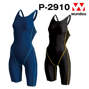 P-2910 EBYXCX[c WjA qp lTCY K `[pEFA Vvn fB[X wundou EhE 