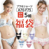 下着 福袋 レディース セット 【送料無料】ブラジャー ショーツセット 5組 5点セット 上下 大きいサイズ …