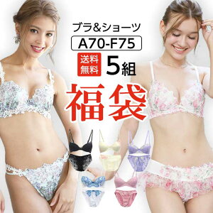 下着 福袋 レディース セット 【送料無料】ブラジャー ショーツセット 5組 5点セット 上下 大きいサイズ 下着福袋 