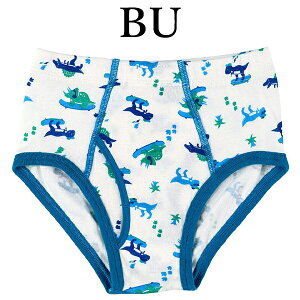 R[ wacoal LbY CPQ125 u[t pc j{g 100% 炩 [΂ 90 100 110 120TCY WjA [֔