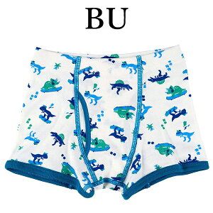 R[ wacoal LbY CPS525 {NT[pc pc j {g 100% [΂ 炩 90 100 110 120TCY WjA [֔