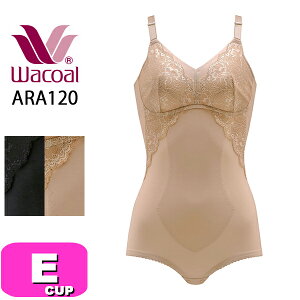 R[ wacoal ARA120 {fBX[c mC[ Go[VbN Ever Chic ȍ z n~ EJbv MLTCY WB