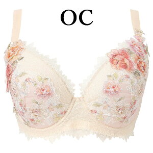 ���R�[�� wacoal �v���~�A�� 22series BXD022 �u���W���[ �u�� 3/4�J�b�v QDQEQF�J�b�v WB