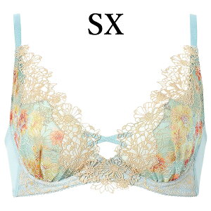 ���R�[�� wacoal �v���~�A�� 25series BXD125 �u���W���[ �m�����C���[ �d�̓P�A�u�� 3/4�J�b�v DEF�J�b�v WB