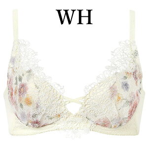 ���R�[�� wacoal �v���~�A�� 25series BXD125 �u���W���[ �m�����C���[ �d�̓P�A�u�� 3/4�J�b�v G�J�b�v WB