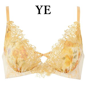 ���R�[�� wacoal �v���~�A�� 25series BXD125 �u���W���[ �m�����C���[ �d�̓P�A�u�� 3/4�J�b�v DEF�J�b�v WB