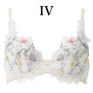 ���R�[�� wacoal �v���~�A�� 17series BXD417 �u���W���[ �u�� 3/4�J�b�v �� �J�� �p�[�\�i���t�B�b�g�v���X�u�� DEF�J�b�v WB EMI 2502