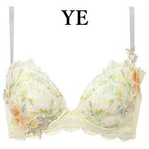 ���R�[�� wacoal �v���~�A�� 26series BXD726 �u���W���[ �u�� 3/4�J�b�v �{�����[�}���C�Y�u�� �J�� DEF�J�b�v WB EMI 2602