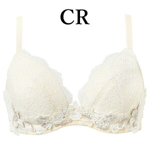 R[ wacoal v~A }^jeB MBY505 uW[ 3/4Jbv YOEY㌓p C[^Cv LCɂ݂Ă₳u GJbv