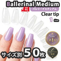 楽天市場】ネイルチップ ばら売りの通販