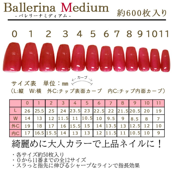 楽天市場】【割引価格×クーポン配布中】ネイルチップ クリア 約600枚  