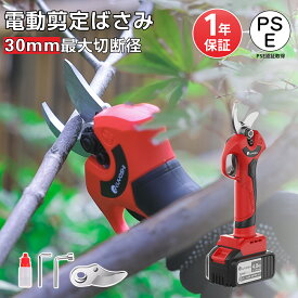 【バッテリー付き】あす楽 電動剪定ばさみ 充電式 高枝切りバサミ 剪定バサミ バッテリー付き 枝切り 電動 剪定はさみ ノコギリ 枝切り電動はさみ 庭木果樹用 剪定鋏園芸用 軽量 剪定鋏 植木 ばさみ 軽い 植木鋏 男女兼用