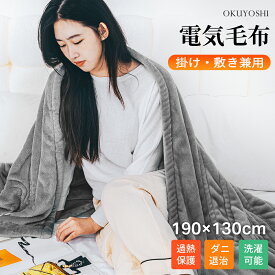 ＼クーポンで4,980円／電気毛布 掛け敷き ひざ掛け 190*130cm タイマー機能付き 8段階温度 抗菌防臭 ダニ退治 自動電源オフ 丸洗い ダブル 2人 掛け 電気ひざ掛け 膝掛け 電気ブランケット 丸洗い可能 電磁波カット