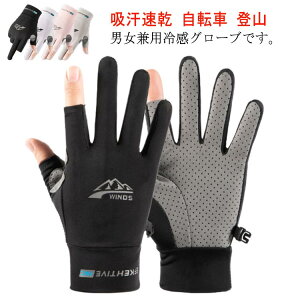 w Ăh~ bV St St O[u t w O[u ⊴  O[u Ђ  fB[X uvJbg