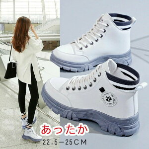 EB^[u[ ۉ h {A nCJbg Xj[J[ hC fB[X N [gu[c  fB[X