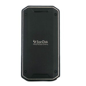  ő3000MB/s SDPS31H-004T-GBCND ϏՌ h ho USB-CΉ 3 Thunderbolt SSD PRO-G40 4TB |[^uSSD Ot