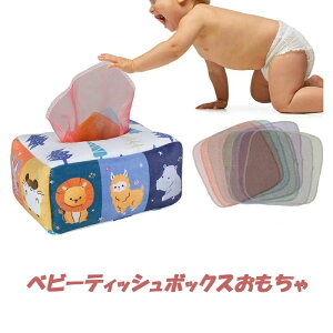 JtȃXJ 8JtȃXJ[t eBbV AwO̎qoJߋ @̃eBbV{bNX  킢 _炩