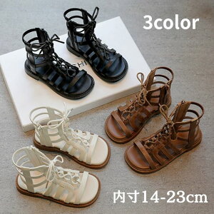  C    {t w c WjA ̎q qC V[Y ҂ݏグ T_OfBG[^[