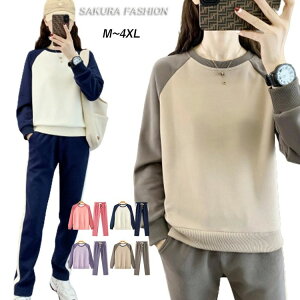 gb  傫TCY 傫 [EFA 5L 4XL 4L 3XL XXL XL 3L LL L M  Zbgn ㉺ fB[X ZbgAbv