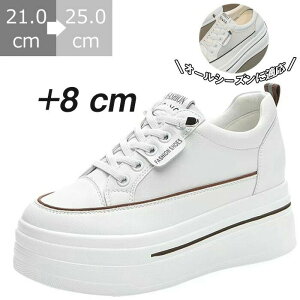 C 8cm 6cmq[ gAbv fB[X y y bV [Jbg Cq[ EH[LOV[Y tbg 