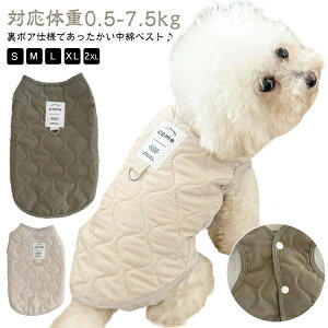  n LeBO OJ  n {A EFAn[lX n[lX xXg ybgEFA ~p g  ̕ 