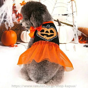  킢 ybgp RX`[ Be RXv NX}X ybgEFA ^ ̕ NX}Xߑ  L ybg