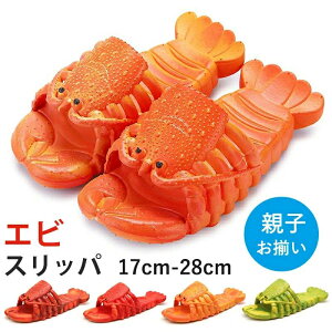  I jp LbY fB[X Y   ɐCV UKj Gr uX^[ Xbp CV eq j[N