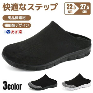 T{T_ ₷ V[Y  ₷ ubN y  C T_ fB[X ƂȂ Xj[J[ Y