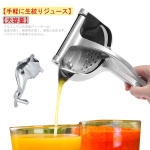 蓮W[T[ i t[ci ڂ ڂ W[T[ 蓮