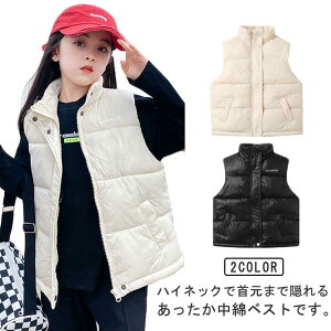 X^hlb OJ AE^[ j̎q ̎q qp ۉ ȃWPbg h  WjA xr[ _ExXg LbY