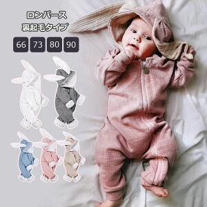 RXv  Ȃ肫 C[X^[   xr[p[X xr[  j̎q ̎q g N p[X