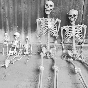 | NX}Xpi  u  t a {iI A z[ 165cm u g  KCRc [ nEB