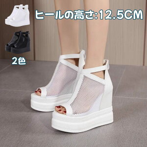 T_ V[gu[c I[vgD nCq[ Cq[ 12.5cm bVu[c EGbW\[ tbgT_ O