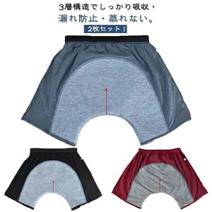  Ci[  ARpc 2Zbg jp z {NT[pc Oɑ傫ȋz gNX ARpc \