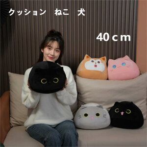 z ᔽ wZ ԗp ItBXp Ɨp V[g  ֎q OJo[ ~ L^  x V[gNbV