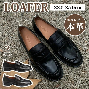 C\ V[Y tbg NbV [t@ XN[ [q[ ₷ q[Abv wC {v w fB[X