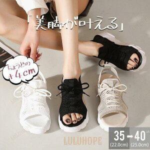 C V[Y Xj[J[ ₷ JWA ؍ ʋC X|[cT_ bV  fB[X