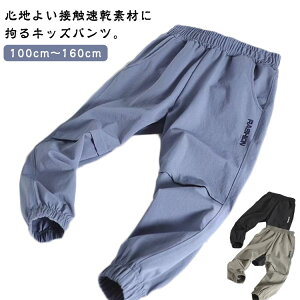 WjA   bV ĕ j̎q w qp Y{ C[W[pc WK[pc LbY ʊw z  LbY Opc qǂ pc X|[cEFA g[j