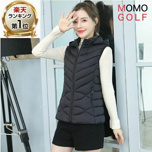 lStt@ lStEGA fB[XSt Stq H~SthEGA StAE^[EGA St_ExXg