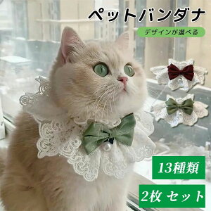 �ʐ^�B�e �a�����O�b�Y �o�[�X�f�[ �V�N�A�N�Z�T���[ �y�b�g�p�A�N�Z�T���[ ���j�� ���ꒅ �L������ ���Ղ�a�� �y�b�g�ւ̃M�t�g �y�ʃl�R�p���т�X�J�[�t �h�J���[�X�L�p��։�����