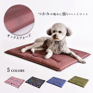 l ꂪȒP q ybg}bg \ ?݂ɋybg}bg IbNXtH[h p}bg L P[W}bg 